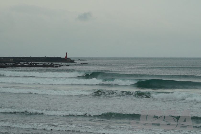20201015075659_ABF08543m.jpg