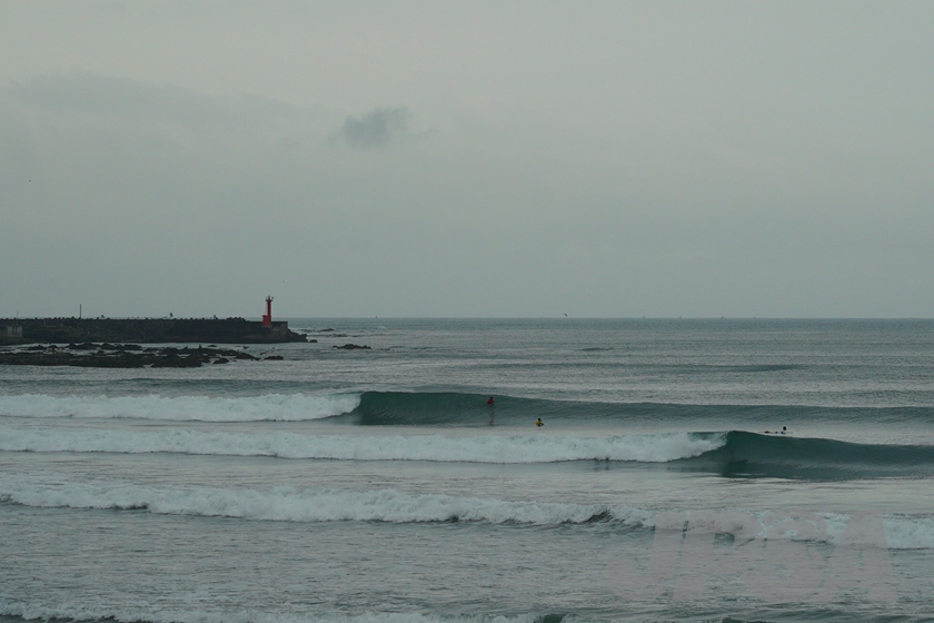 20201015075702_ABF08546m.jpg