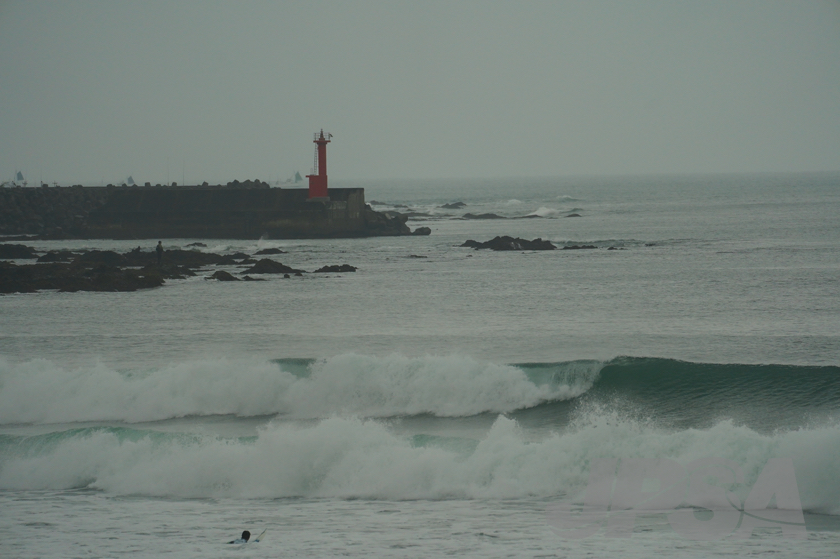 20201015081322_ABF08695m.jpg