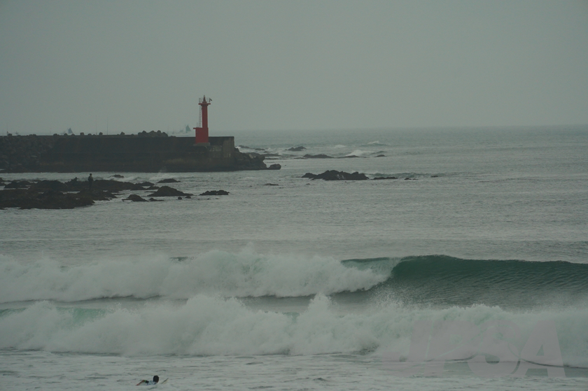 20201015081322_ABF08696m.jpg