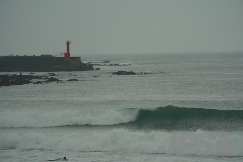 20201015081323_ABF08697m.jpg