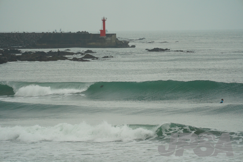 20201015081622_ABF08705m.jpg