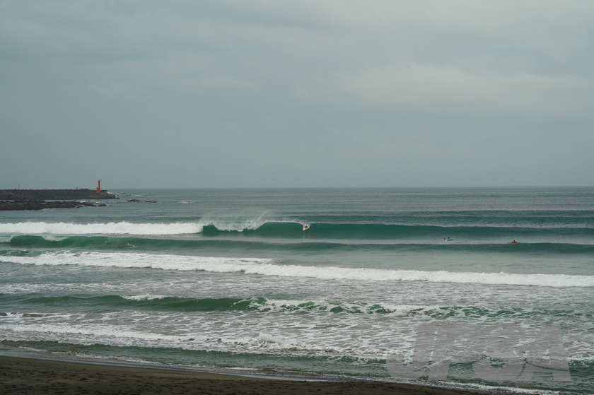 20201015084555_ABF08942m.jpg