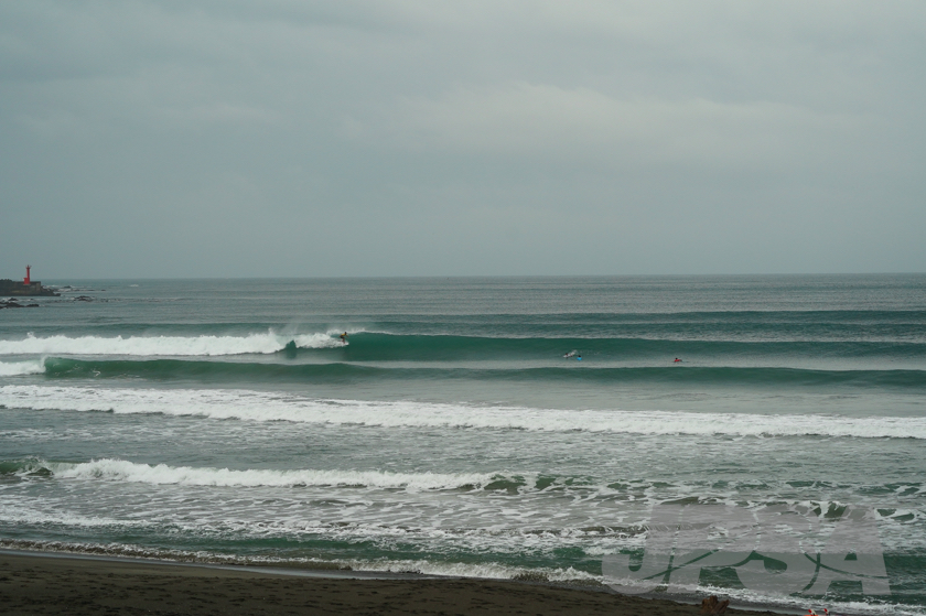 20201015084557_ABF08943m.jpg