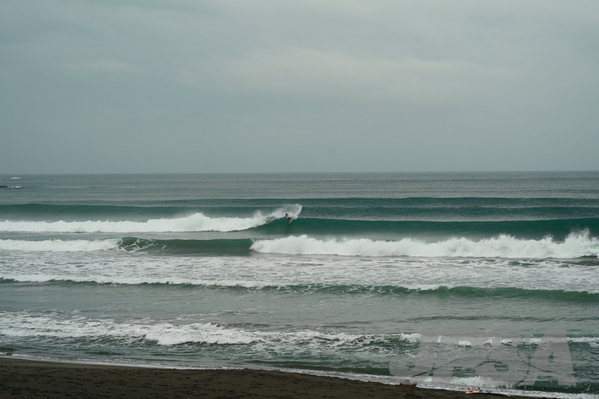 20201015084602_ABF08951m.jpg