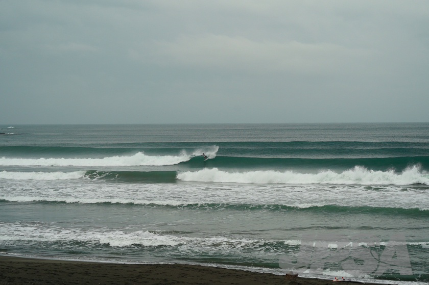 20201015084602_ABF08952m.jpg