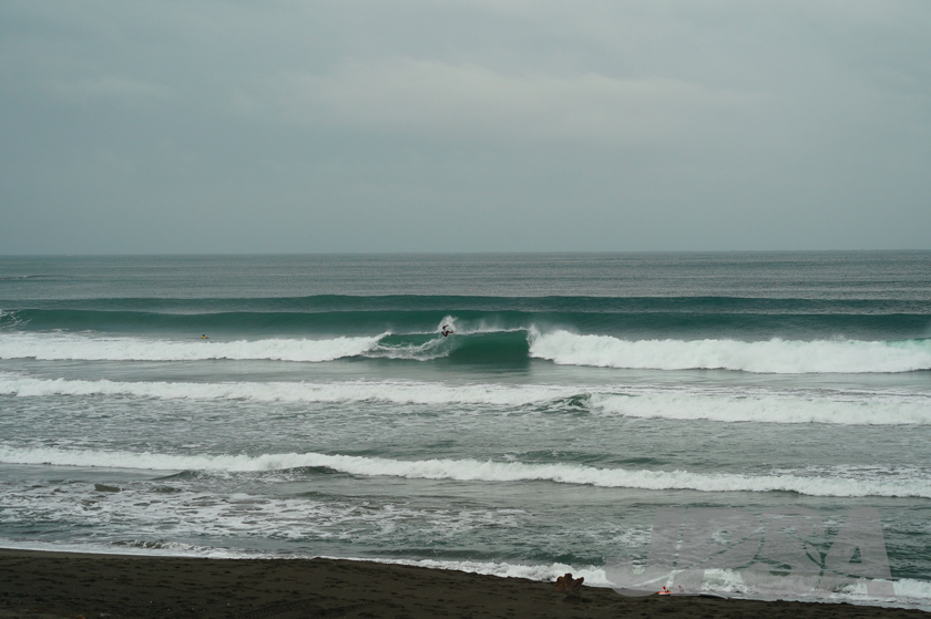 20201015084607_ABF08957m.jpg
