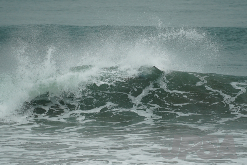 20201015100557_ABF09842m.jpg