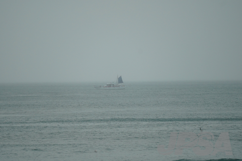 20201015111619_ABF00366m.jpg