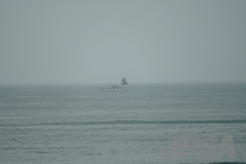 20201015111619_ABF00367m.jpg
