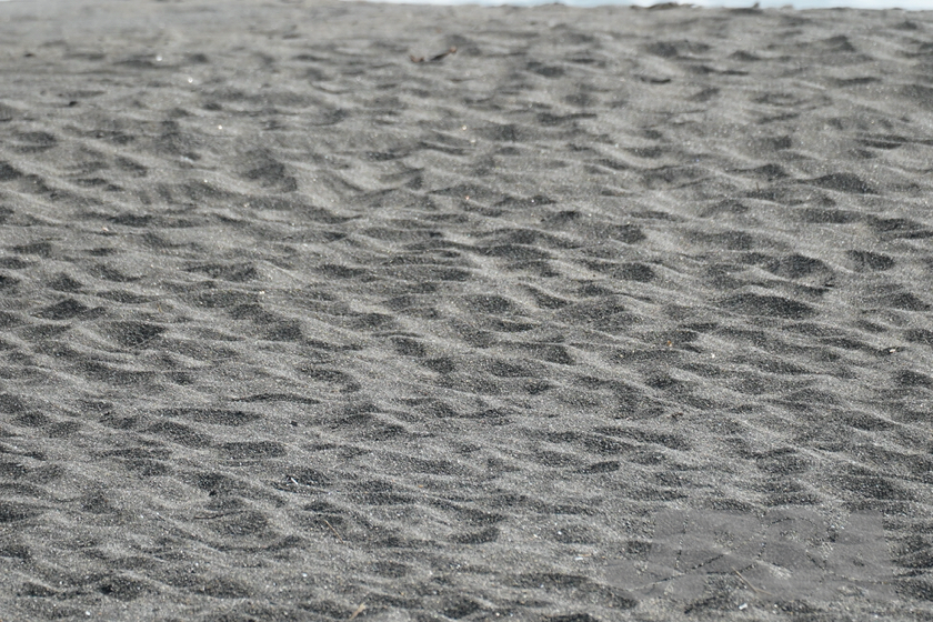 20220305132455_A7300709m.jpg