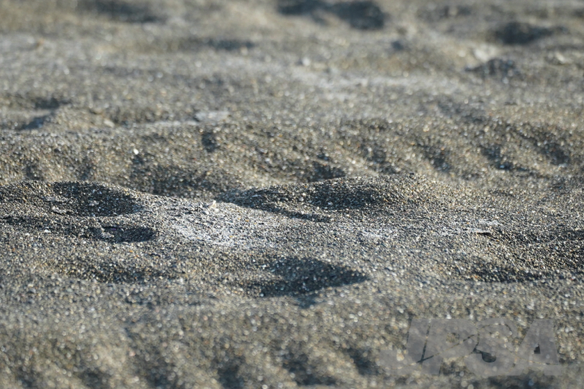 20220307154632_A7304257m.jpg