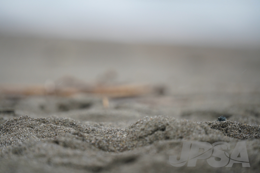 20221006115146_A7305998m.jpg