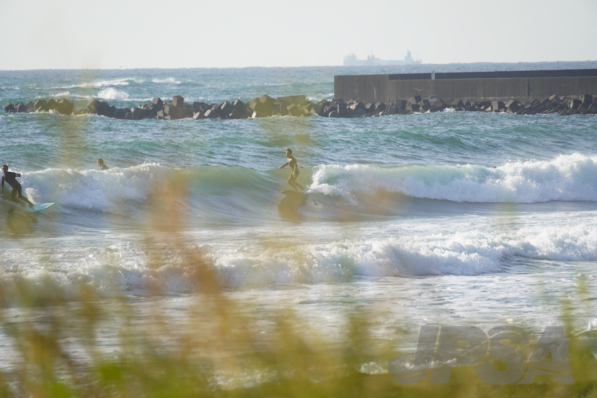 20230510062005__DSC7048m.jpg