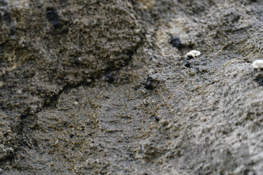 20230529083103__DSC4792m.jpg