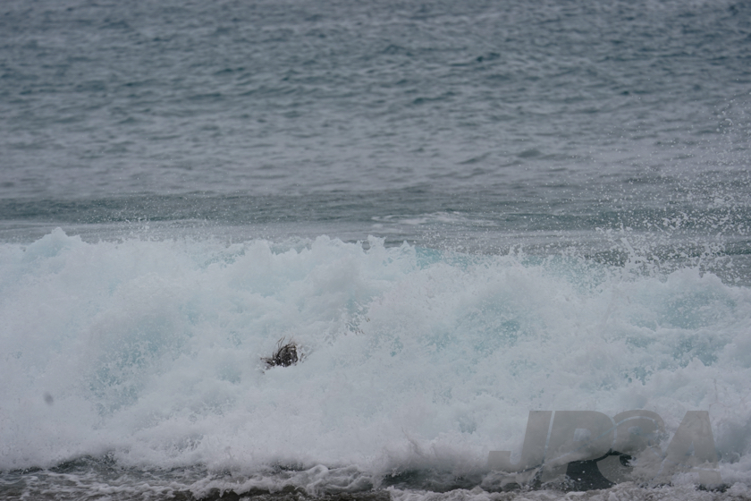 20230529095125__DSC5558m.jpg