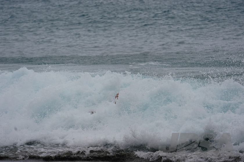 20230529095125__DSC5559m.jpg
