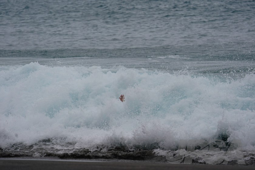 20230529095125__DSC5560m.jpg