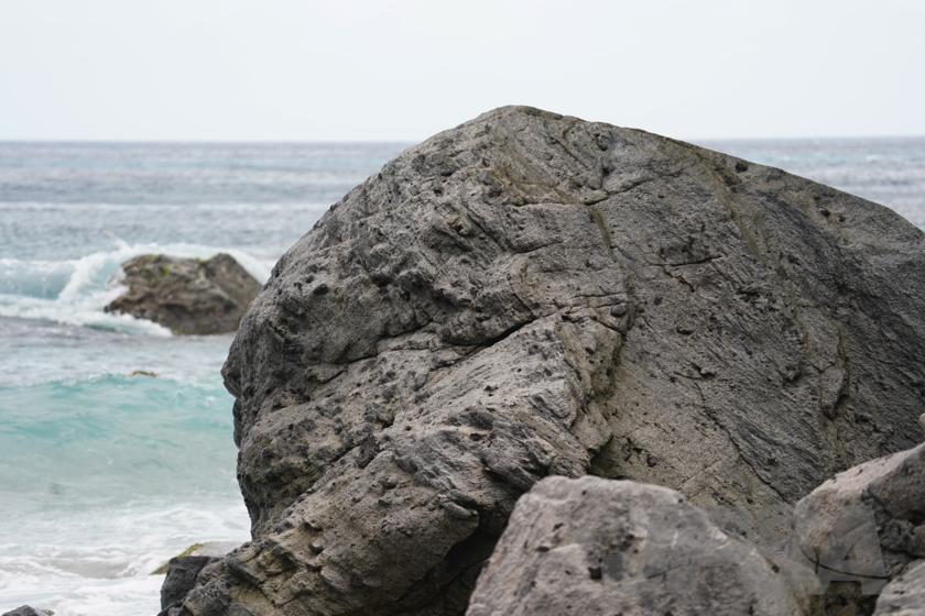 20230529112715__DSC6257m.jpg