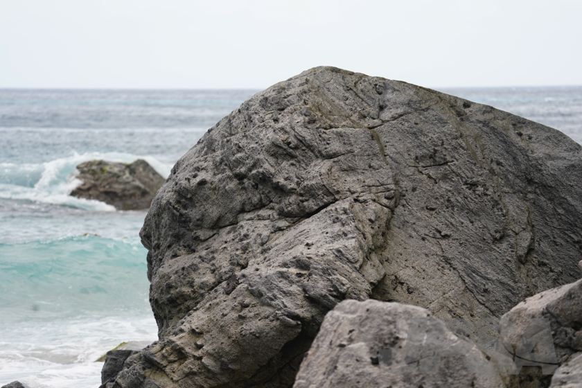 20230529112715__DSC6258m.jpg