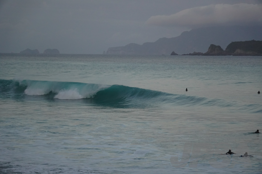 20230601043410__DSC7485m.jpg